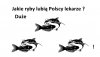 Z cyklu prosty rebus !