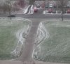 Głupich nie sieją