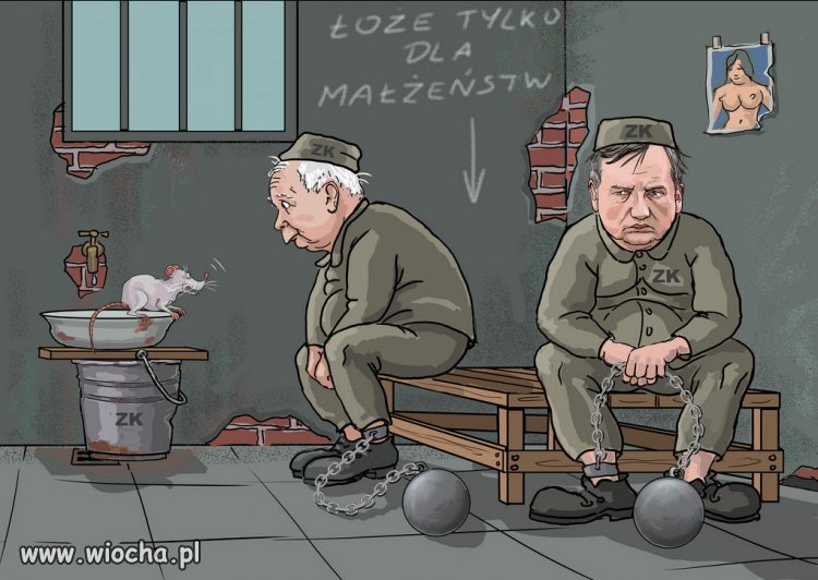Taka przyszłość, czeka rządy PiSu Kaczyńskiego...