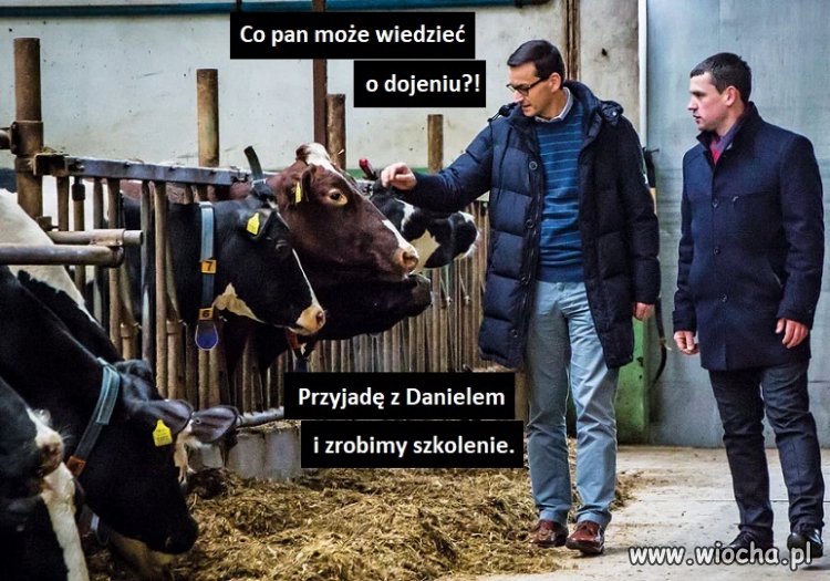 Specjaliści