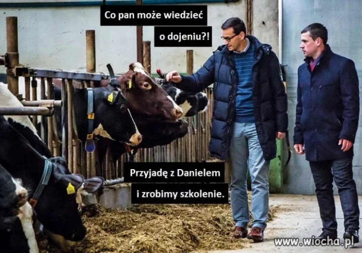 Specjaliści