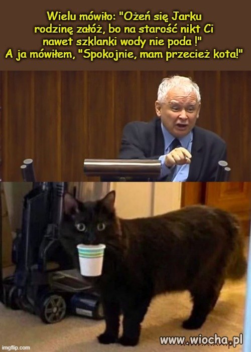 Przynieś, przyniesie