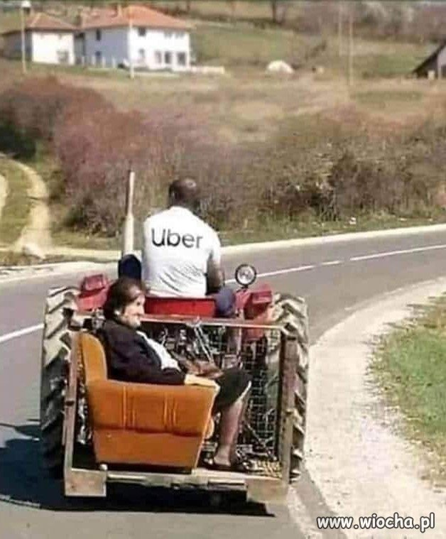 Bez polityki i KK