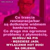 Jedyna słuszna partia