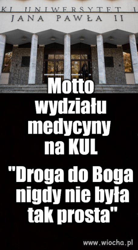 Zaklinacze chorób