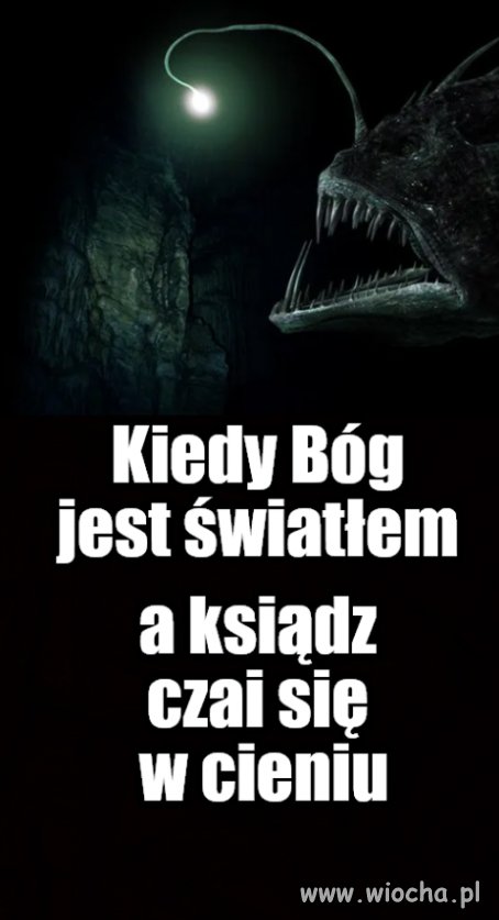 Dokarmisz bestię swoim dzieckiem ?