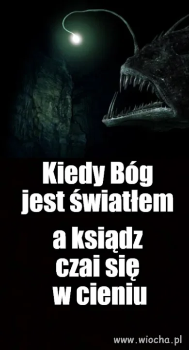 Dokarmisz bestię swoim dzieckiem ?