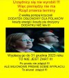 PiS dla siebie ma, ale inni muszą poczekać po wyborach... 