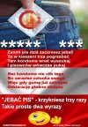 Proste dwa wyrazy