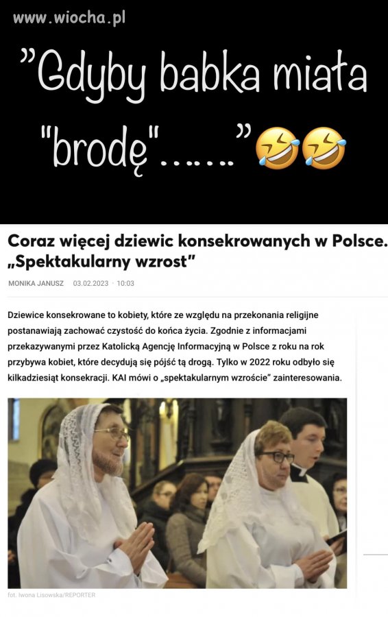 Ni pies ni wydra