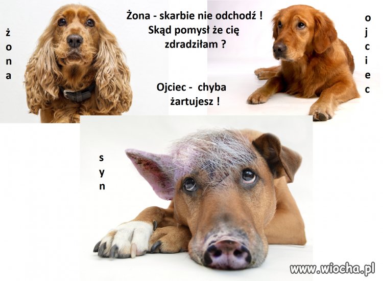 Nie zapomnij się zabezpieczyć bo chwila -