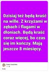 Bo PiS już kradnie bezczelnie i bezkarnie...