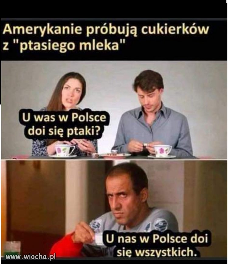 W świetle prawa
