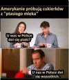 W świetle prawa
