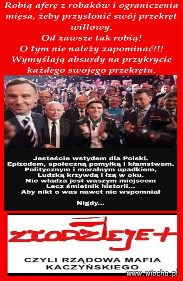 Jesteście wstydem dla Polski!!!