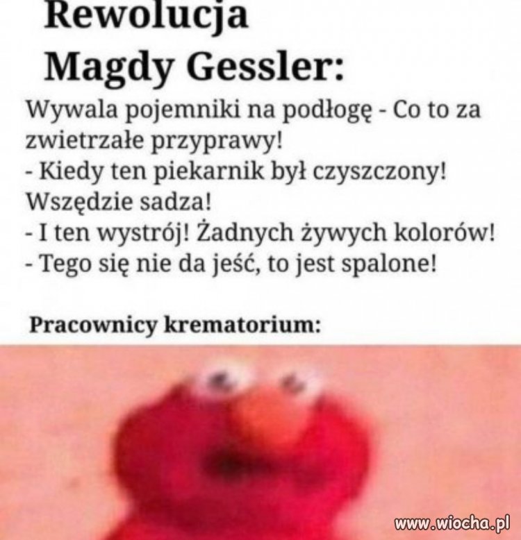 Rewolucje pani Magdy...