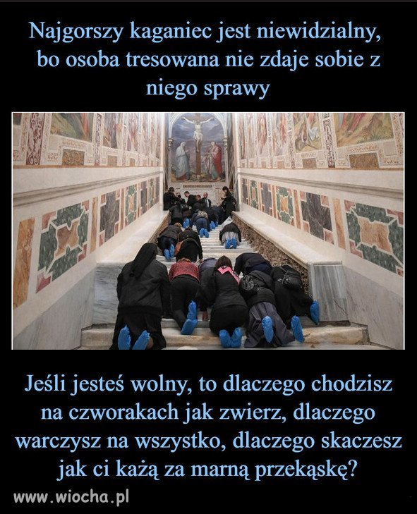 Podziwiam tresure owiec i baranów, przez sektę kościoła!