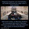 Podziwiam tresure owiec i baranów, przez sektę kościoła!