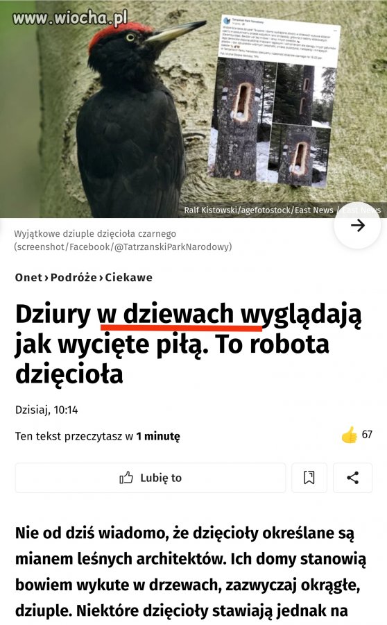 Gdy analfabeta zostanie redaktorem