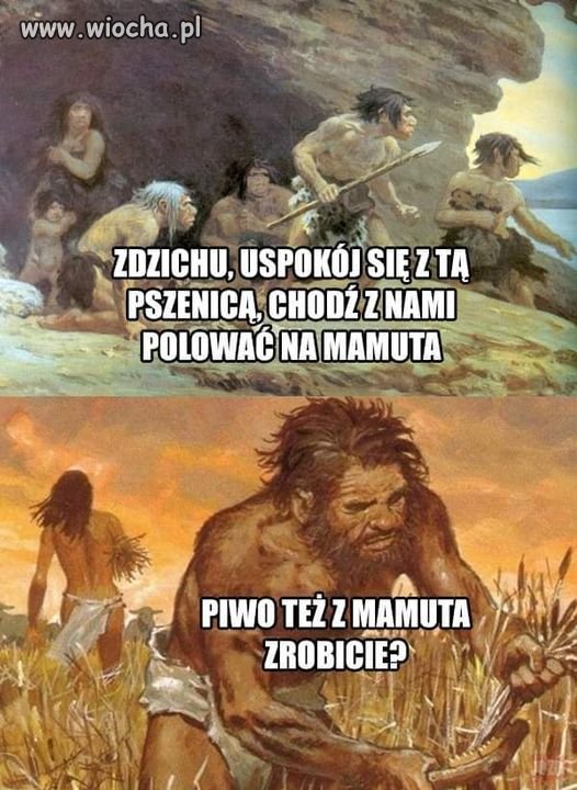 Ktoś musi być rozsądny