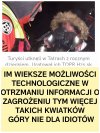 Sandałki, japonki, szpileczki, klapki...