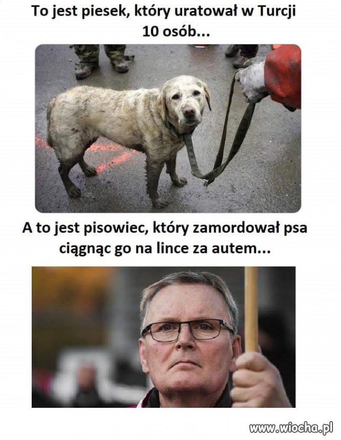 Pamiętacie tego zwyrola?