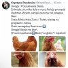 Krycha się nudzi 