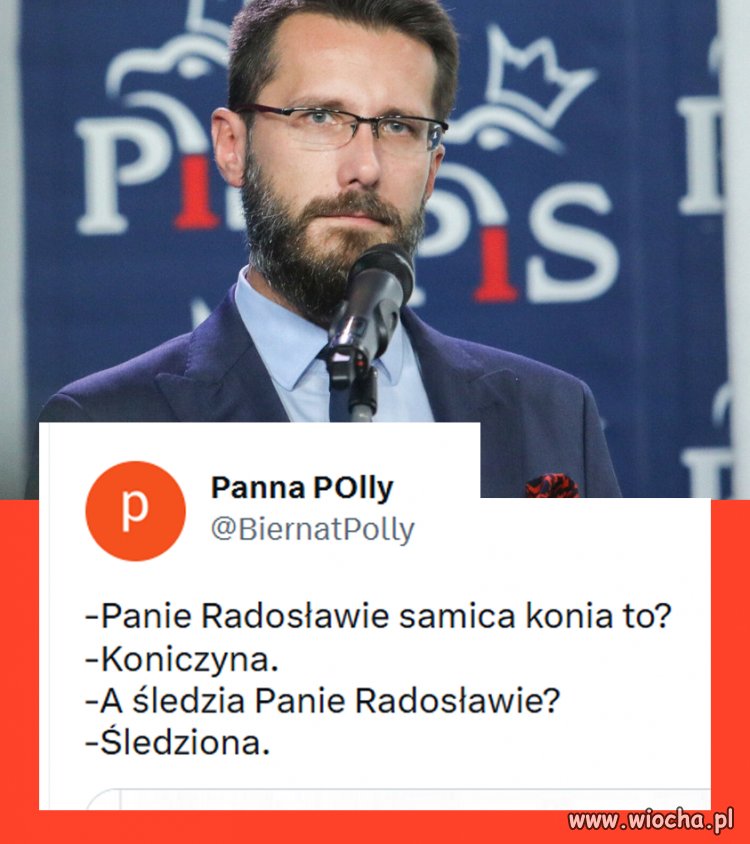 Tak wygląda debil 