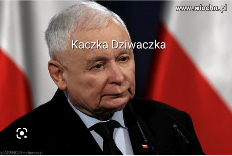 Kaczuszka...
