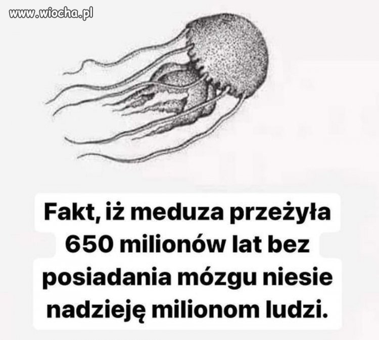 Większość naszych celebrytów