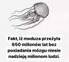 Większość naszych celebrytów