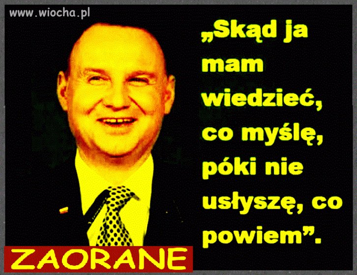 Andrzejek