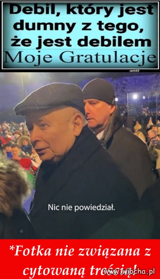 Cytaty net