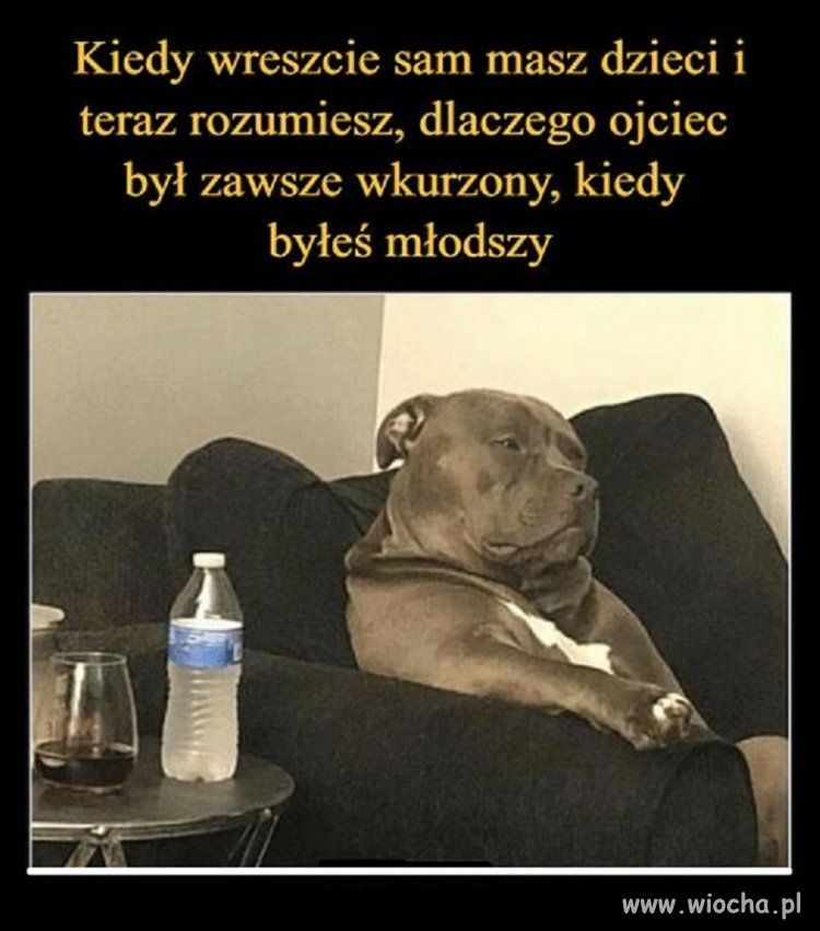 Coś w tym jest