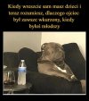 Coś w tym jest