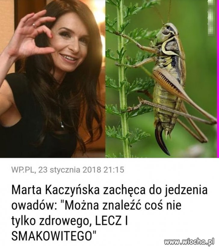 Tylko to tu zostawię