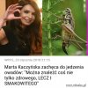Tylko to tu zostawię