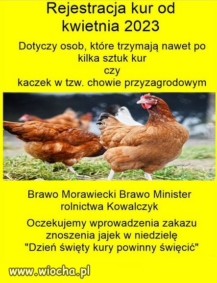 Czy kury dla plebana też trzeba rejestrować?