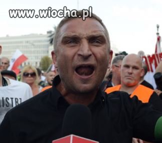 Po co bojówki zakutych łbów pisowi ?
