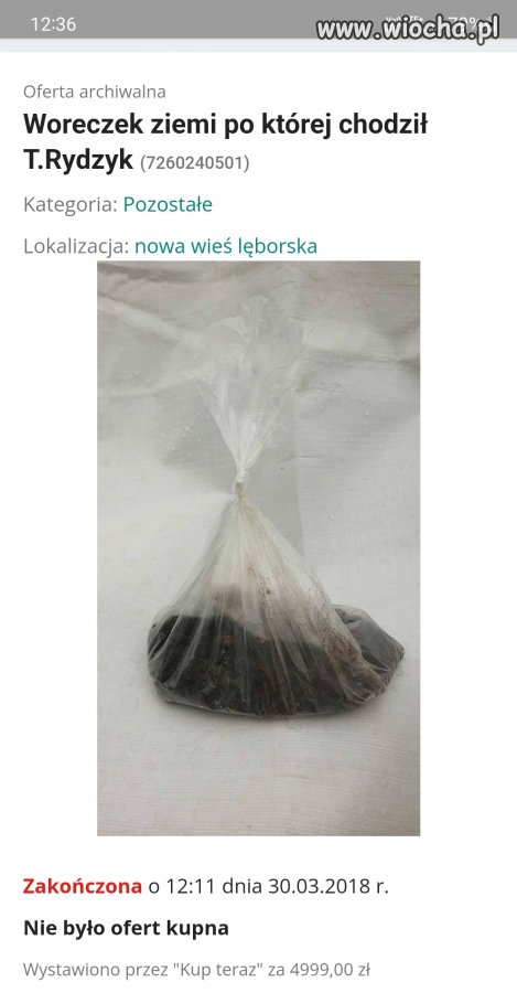 Świnta ziemia