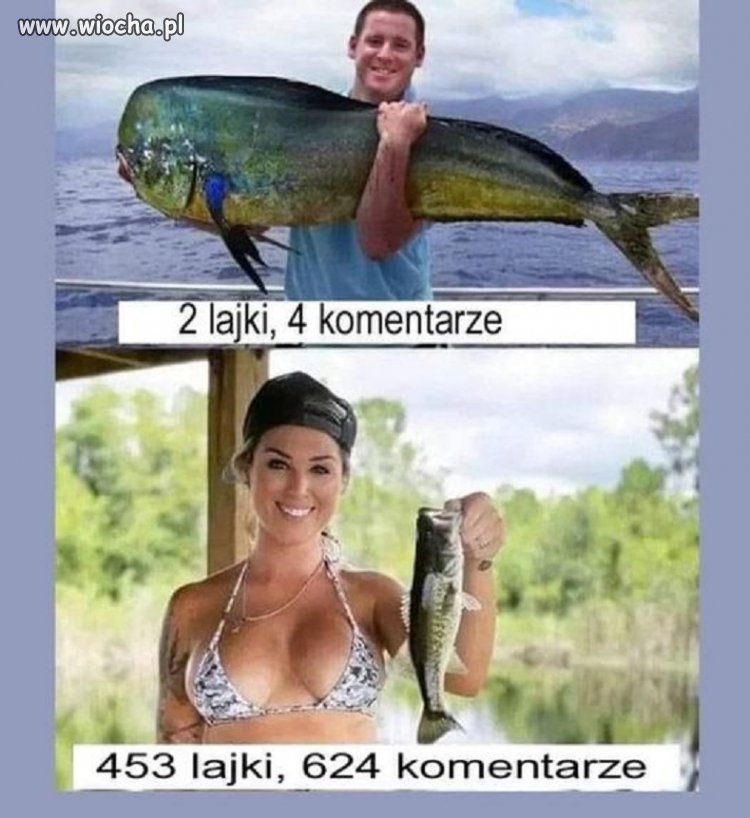 Cyce muszą być