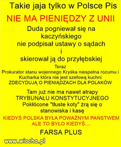 Czy rządy PiSu to kabaret, cyrk czy już dom wariatów?