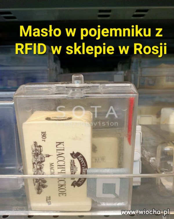 Kacaplandja Albercika.
