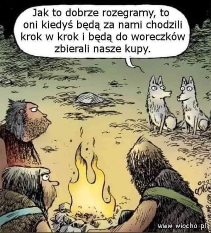 I rozegrali to znakomicie