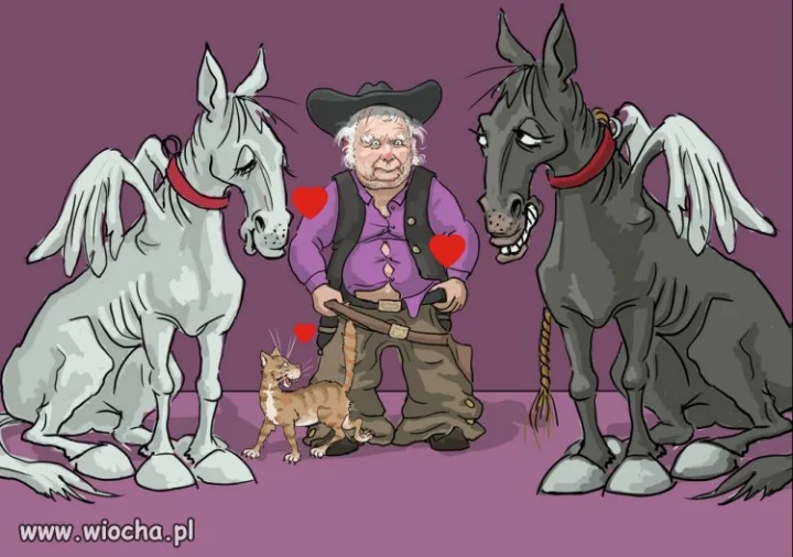 Polacy nie gesi, maja senilnego kaczora za Wuca...