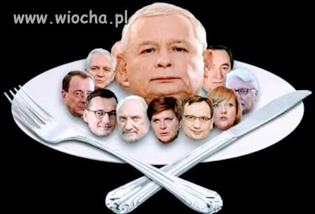 Kaczka w buraczkach.