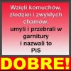 Krótko o PIS