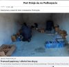 Skarb państwa oszukali