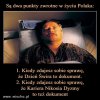 Czy Polska PiSu, to cyrk czy dom wariatow?