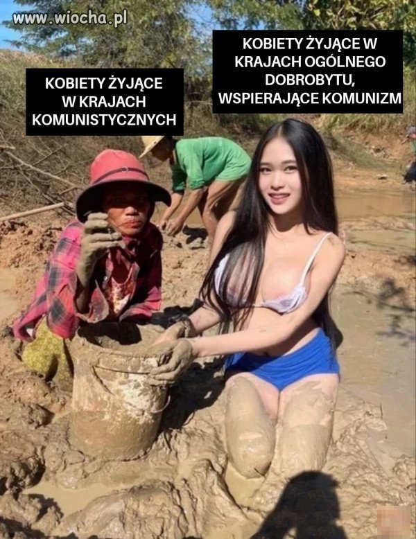 Tak to właśnie widzę 